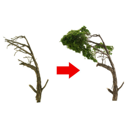 Sagebrush Armatures - Coastal